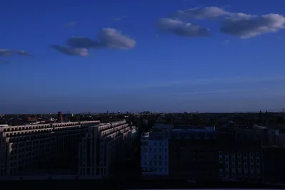 DSC_1777 (Large).JPG